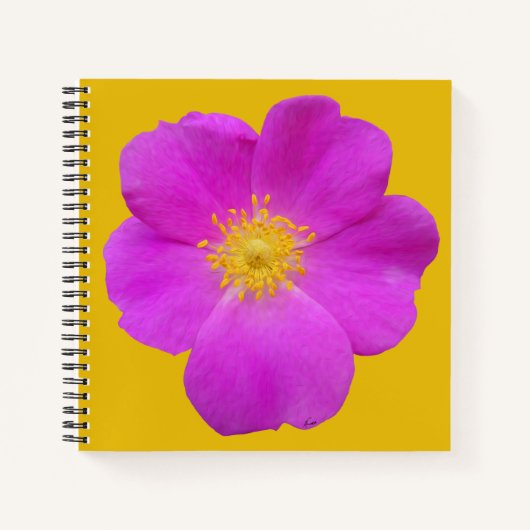 Wilde Rose 2 Notizblock (Vorderseite)