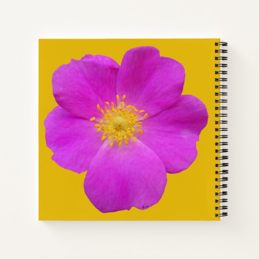 Wilde Rose 2 Notizblock (Rückseite)