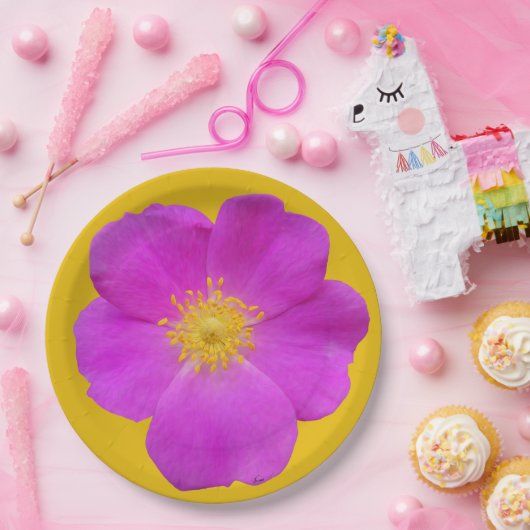 Wilde Rose 2 Pappteller (Party)