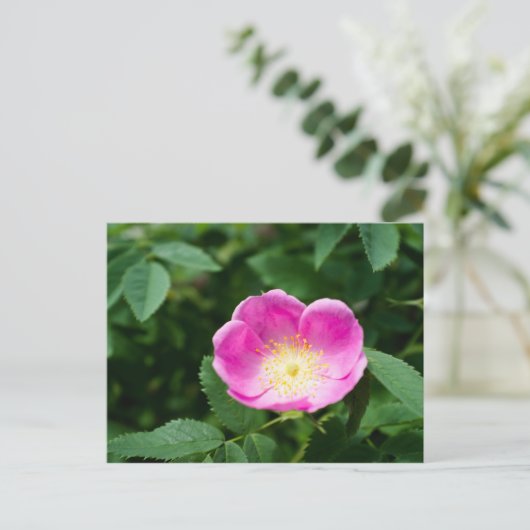 Wilde Rose Blume Postkarte (Stehend Vorderseite)