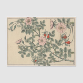 Wilde Rose, Botany Serie von Eugene Grasset Seidenpapier