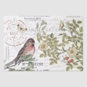 Wilde Rose Carte Postale Songbird Französisches Dr Seidenpapier