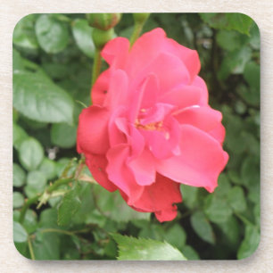 Wilde Rose Cork Untersetzer