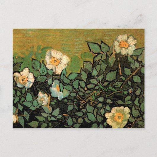 Wilde Rose (F597) Van Gogh Fine Art Postkarte (Vorderseite)