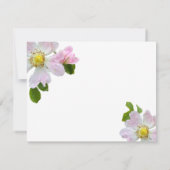 Wilde Rose - Feier des Lebens - Fotokarte Einladung (Rückseite)