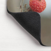 Wilde Rose Frucht Mousepad (Ecke)