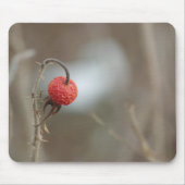 Wilde Rose Frucht Mousepad (Vorne)