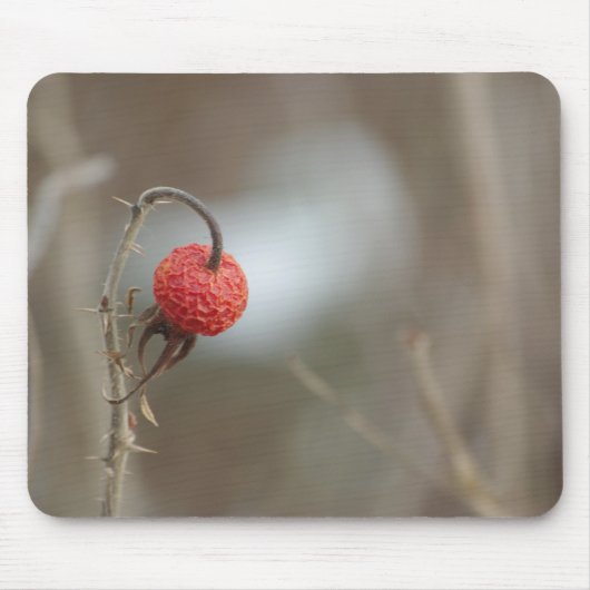 Wilde Rose Frucht Mousepad (Vorne)