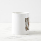 Wilde Rose Frucht Tasse (Mittel)