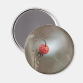 Wilde Rose Fruit Magnet (Vorderseite/Rückseite)