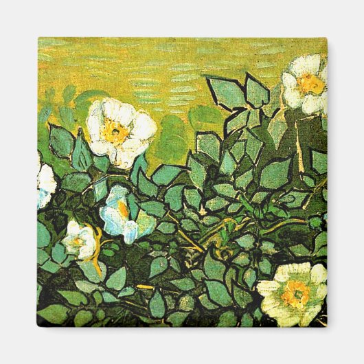 Wilde Rose, Gemälde von Van Gogh Magnet (Vorne)