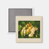 Wilde Rose Honeysuckle Kühlschrank Magnet (Vorderseite/Rückseite)