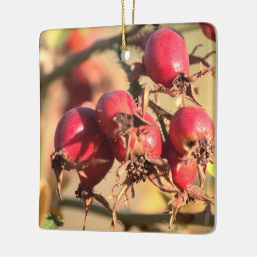 Wilde Rose Hüfte Weihnachtsschmuck (Links)