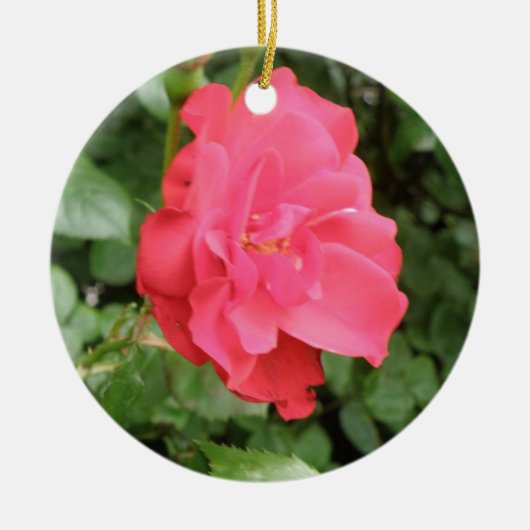 Wilde Rose Keramikornament (Vorne)