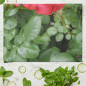 Wilde Rose Küchentücher (Gefaltet)