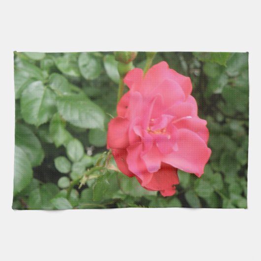 Wilde Rose Küchentücher (Horizontal)