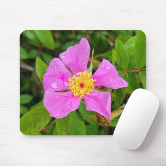 Wilde Rose mit Taubenfallen Mousepad (Mit Mouse)