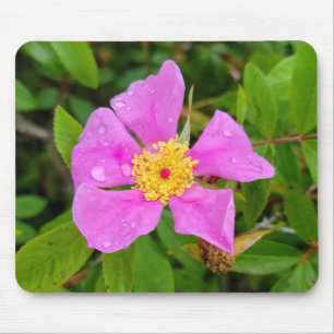 Wilde Rose mit Taubenfallen Mousepad