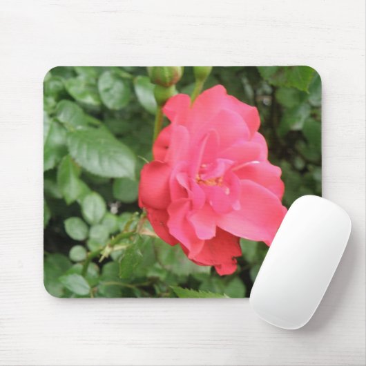 Wilde Rose Mousepad (Mit Mouse)