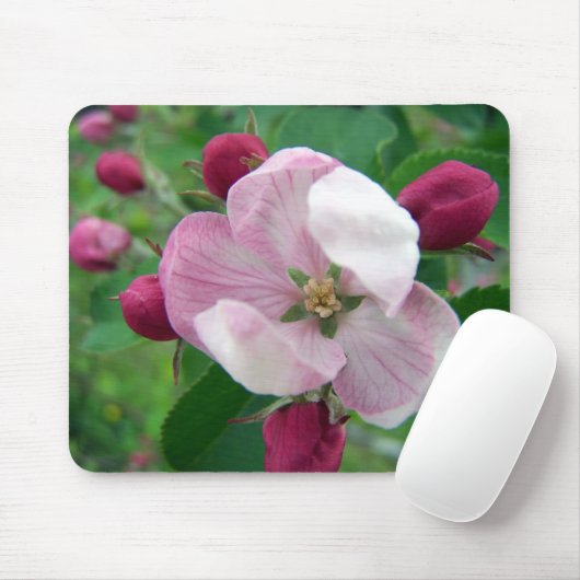Wilde Rose Mousepad (Mit Mouse)