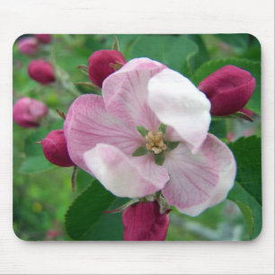 Wilde Rose Mousepad