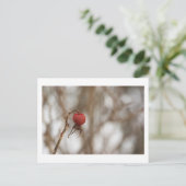 Wilde Rose Obst Postkarte (Stehend Vorderseite)