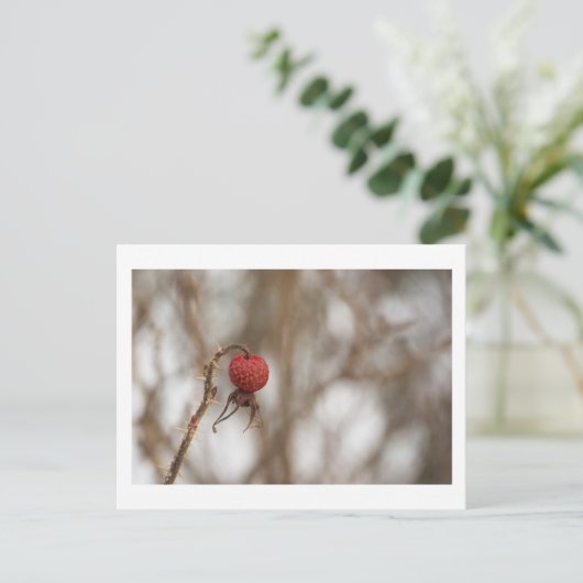 Wilde Rose Obst Postkarte (Stehend Vorderseite)