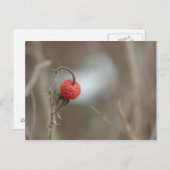 Wilde Rose Obst Postkarte (Vorne/Hinten)