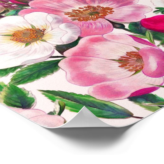 Wilde Rose Poster (Ecke)