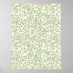 Wilde Rose Poster