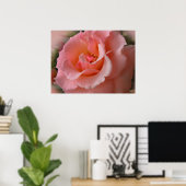 Wilde Rose Poster Printwerbung Schöne Blume Printm (Heimbüro)