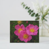 Wilde Rose Postkarte (Stehend Vorderseite)