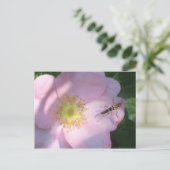 Wilde Rose Postkarte (Stehend Vorderseite)