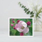 Wilde Rose Postkarte (Stehend Vorderseite)