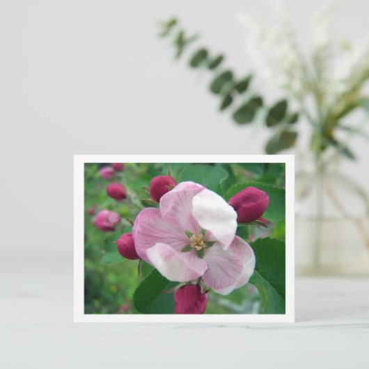Wilde Rose Postkarte (Stehend Vorderseite)