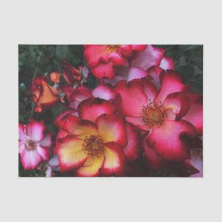 Wilde Rose Seidenpapier