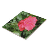 Wilde Rose Tile Fliese (Seite)