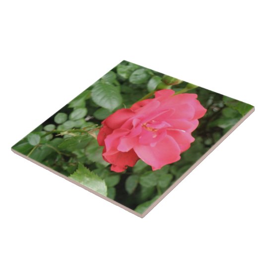 Wilde Rose Tile Fliese (Seite)
