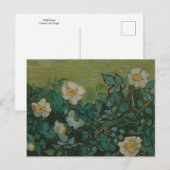 Wilde Rose von Vincent Van Gogh Postcard Postkarte (Vorne/Hinten)