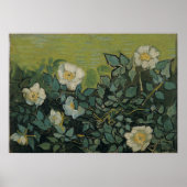 Wilde Rose von Vincent Van Gogh Poster (Vorne)