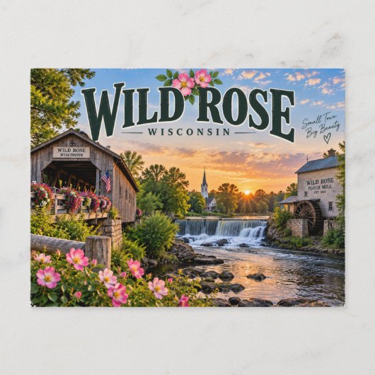 Wilde Rose Wisconsin Postkarte (Vorderseite)