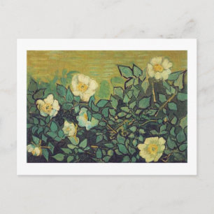 Wilde Rosen,1890. Vincent van Gogh. Postkarte