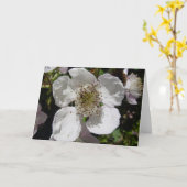 Wilde Rosen-Blüte Karte (Gelbe Blume)