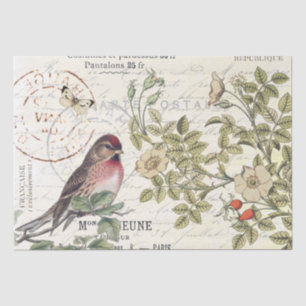 Wilde Rosen Postkarte Singvogel französische Schri Seidenpapier