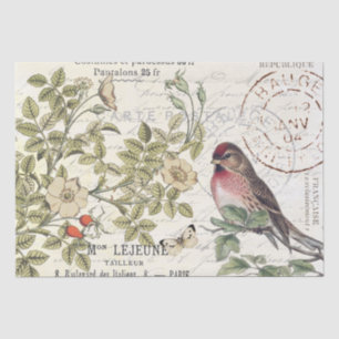 Wilde Rosen Postkarte Singvogel französische Schri Seidenpapier