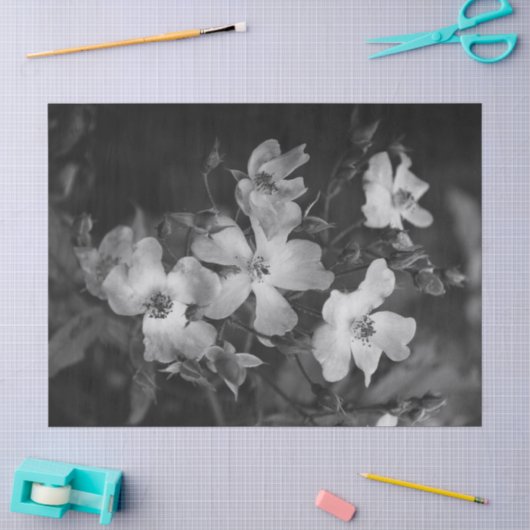 Wilde Rosen Seidenpapier (Basteln)