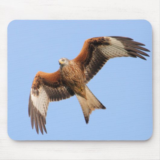 Wilde rote Drachen Mousepad (Vorne)