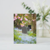 Wilde Ruhe, schöner Kirchenhof. Hopwas UK Postkarte (Stehend Vorderseite)