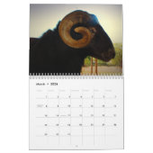 Wilde Sache 2014 Kalender (Mär 2026)