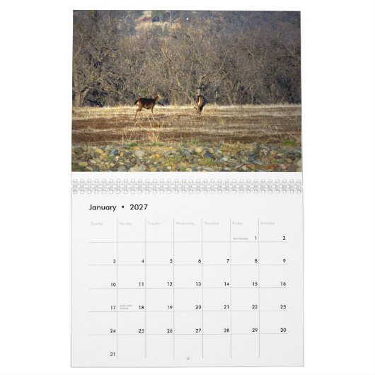 Wilde Sache 2014 Kalender (Jan 2027)